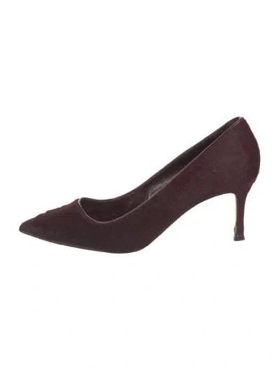Pre-owned Manolo Blahnik Ponyhair Pumps In Burgundy