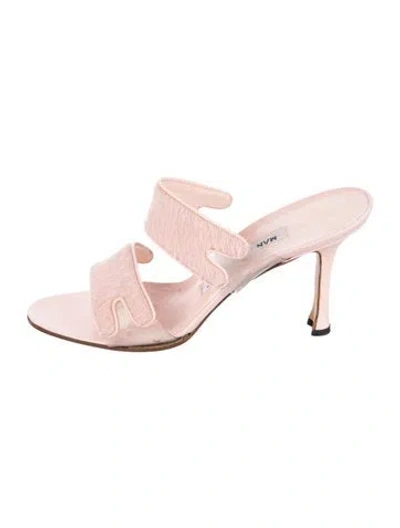 Pre-owned Manolo Blahnik Ponyhair Slides In Pink