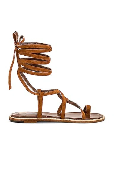 Manolo Blahnik Primathi Suede Sandal In Medium Brown