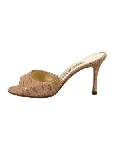 Pre-owned Manolo Blahnik Printed Mules In Neutral