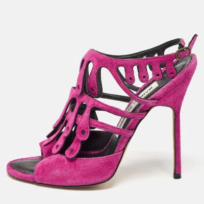 Manolo Blahnik Purple Suede Toubib Ankle Strap Sandals In Pink