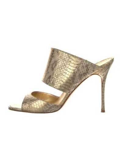 Pre-owned Manolo Blahnik Python Animal Print Slides In Gold