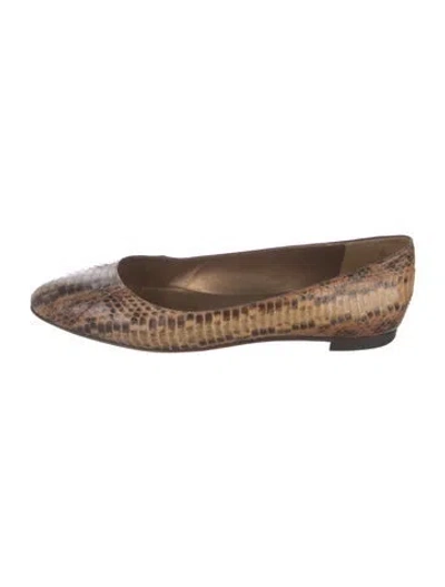 Pre-owned Manolo Blahnik Python Ballet Flats In Brown