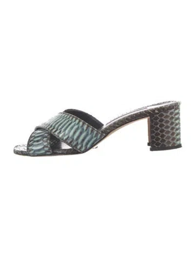 Pre-owned Manolo Blahnik Python Slides In Green