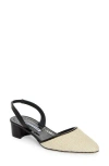 Manolo Blahnik Woven Slingback Ballerina Pumps In Light Khaki/black