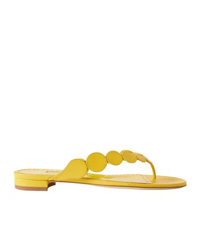Manolo Blahnik Round Toe Slippers In Yellow