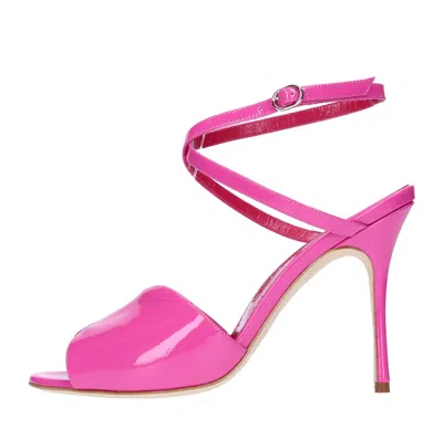 Manolo Blahnik Sandals Fuchsia In Fucsia Vivaci