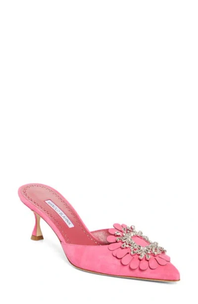 Manolo Blahnik Shogmu Pointed Toe Mule In Pink