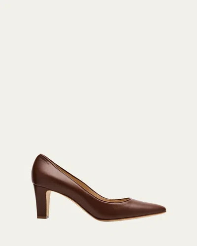 Manolo Blahnik Skiotto Leather Pumps In Dark Brown
