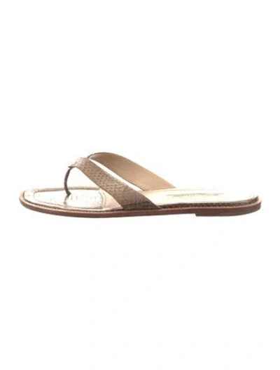 Pre-owned Manolo Blahnik Snakeskin Animal Print Flip Flops In Brown