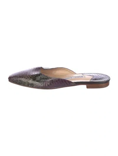 Pre-owned Manolo Blahnik Snakeskin Animal Print Mules In Multi