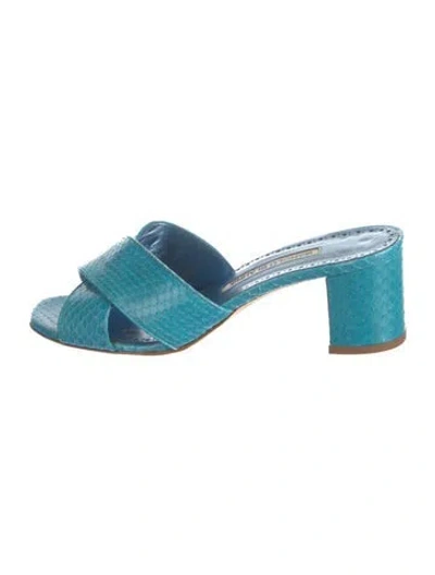 Pre-owned Manolo Blahnik Snakeskin Animal Print Slides In Blue