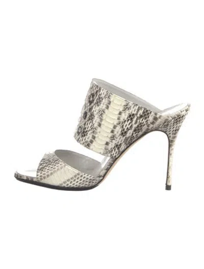 Pre-owned Manolo Blahnik Snakeskin Animal Print Slides In Neutral