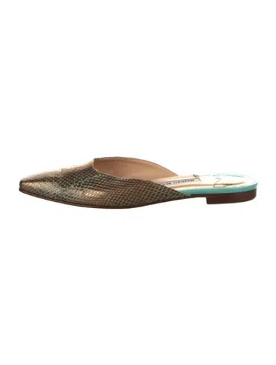 Pre-owned Manolo Blahnik Snakeskin Mules In Multi