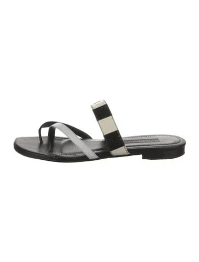 Pre-owned Manolo Blahnik Snakeskin Slides In Black
