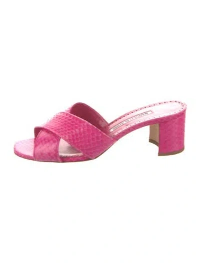 Pre-owned Manolo Blahnik Snakeskin Slides In Pink
