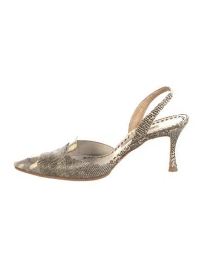 Pre-owned Manolo Blahnik Snakeskin Slingback Pumps In Neutral