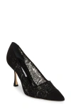 Manolo Blahnik Sololaria Pointed Toe Pump In Black
