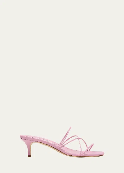 Manolo Blahnik Strappy Leather Kitten-heel Mule Sandals In Multi