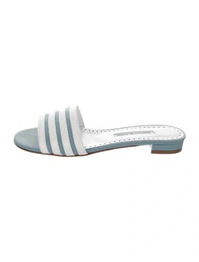 Pre-owned Manolo Blahnik Striped Slides In Blue