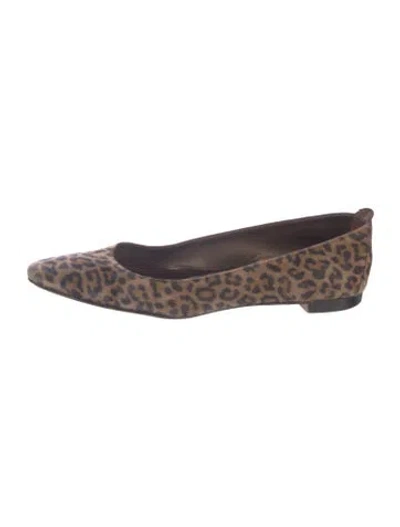Pre-owned Manolo Blahnik Suede Animal Print Flats In Brown