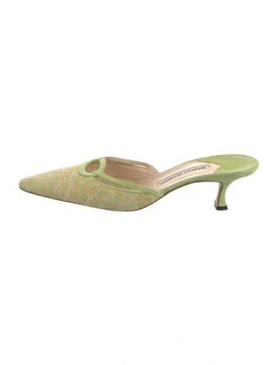 Pre-owned Manolo Blahnik Suede Animal Print Mules In Green