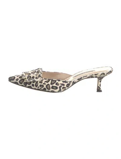 Pre-owned Manolo Blahnik Suede Animal Print Mules In Multi