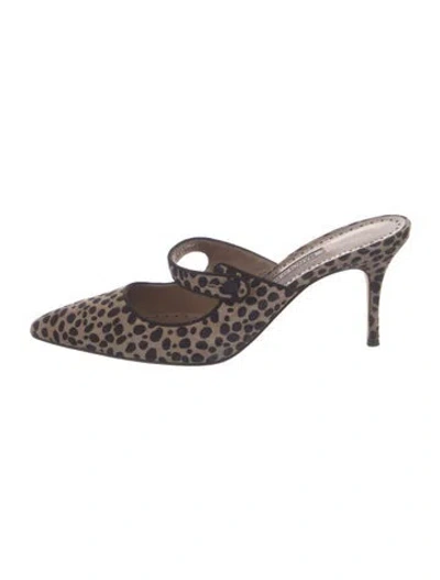 Pre-owned Manolo Blahnik Suede Animal Print Mules In Neutral