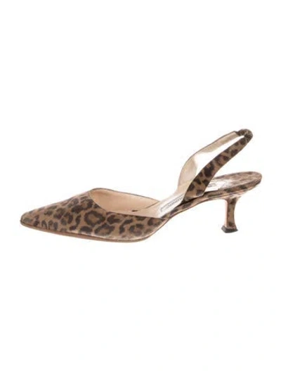 Pre-owned Manolo Blahnik Suede Animal Print Slingback Flats In Brown