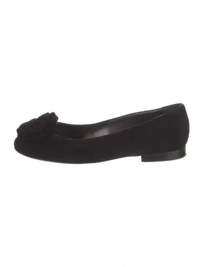 Pre-owned Manolo Blahnik Suede Ballet Flats In Black