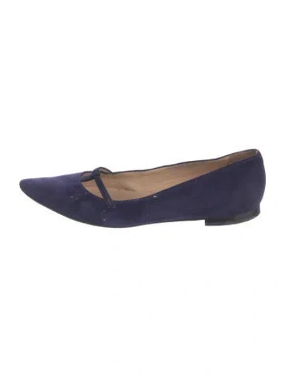 Pre-owned Manolo Blahnik Suede Ballet Flats In Blue