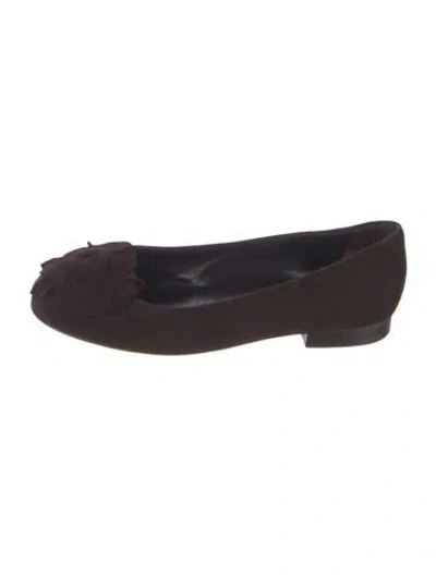 Pre-owned Manolo Blahnik Suede Ballet Flats In Brown