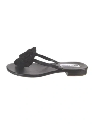 Pre-owned Manolo Blahnik Suede Flip Flops In Black