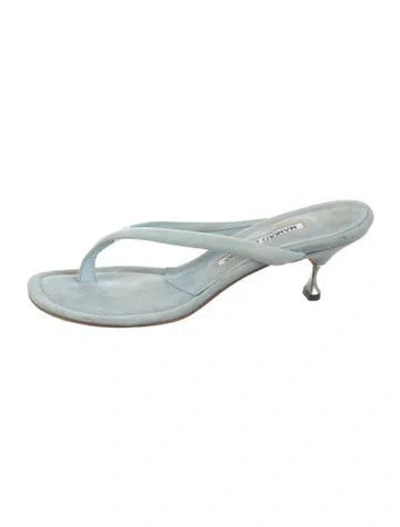 Pre-owned Manolo Blahnik Suede Flip Flops In Black