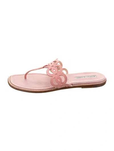 Pre-owned Manolo Blahnik Suede Flip Flops In Pink