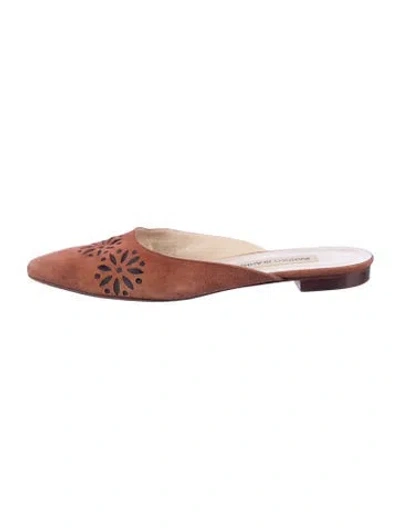 Pre-owned Manolo Blahnik Suede Floral Print Mules In Brown