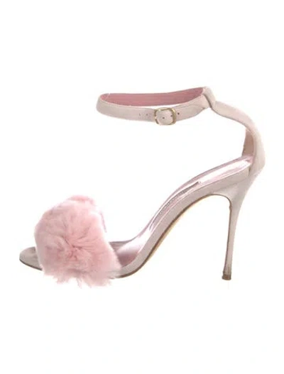 Pre-owned Manolo Blahnik Suede Fur Trim Sandals In Pink