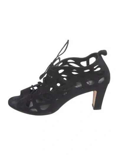 Pre-owned Manolo Blahnik Suede Gladiator Sandals In Black