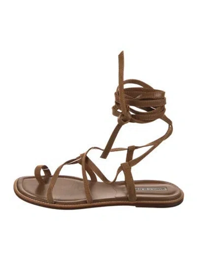 Pre-owned Manolo Blahnik Suede Gladiator Sandals In Brown