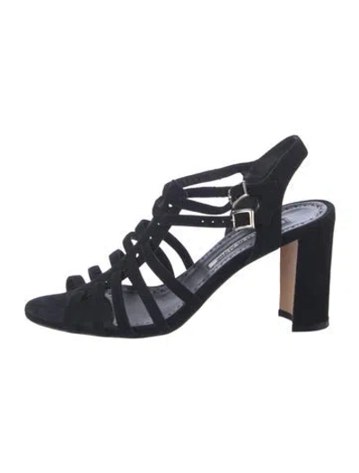 Pre-owned Manolo Blahnik Suede Gladiator Sandals In Multi