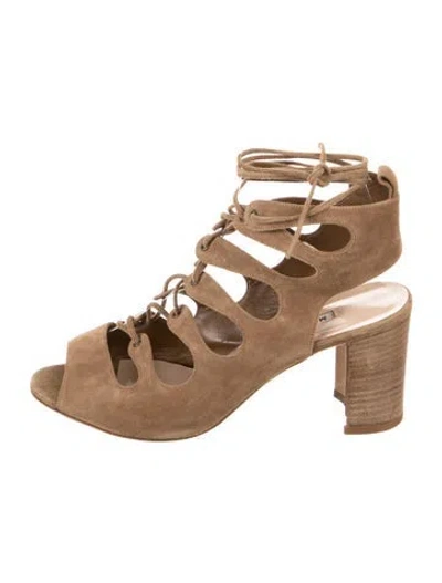 Pre-owned Manolo Blahnik Suede Gladiator Sandals In Neutral