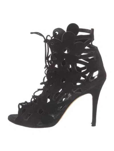 Pre-owned Manolo Blahnik Suede Lace-up Boots In Black