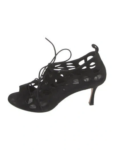 Pre-owned Manolo Blahnik Suede Lasercut Accents Gladiator Sandals In Black