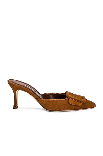 Manolo Blahnik Suede Maysale 70 Mule In Medium Brown