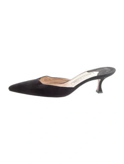 Pre-owned Manolo Blahnik Suede Mules In Black