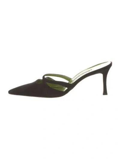 Pre-owned Manolo Blahnik Suede Mules In Black