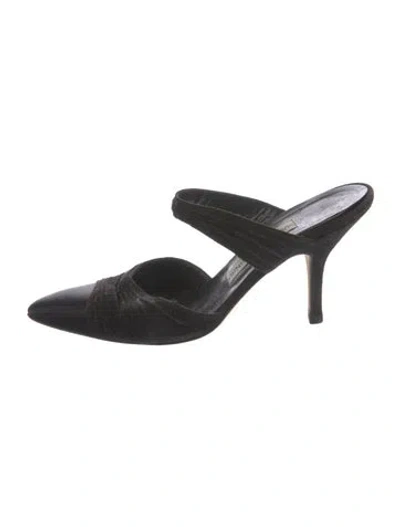Pre-owned Manolo Blahnik Suede Mules In Black