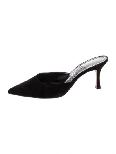 Pre-owned Manolo Blahnik Suede Mules In Black