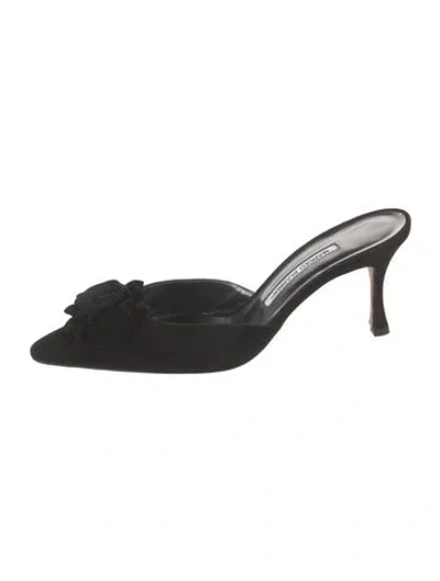 Pre-owned Manolo Blahnik Suede Mules In Black