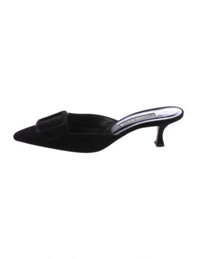 Pre-owned Manolo Blahnik Suede Mules In Black